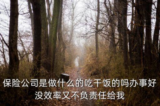 保險公司是做什么的吃干飯的嗎辦事好沒效率又不負責任給我