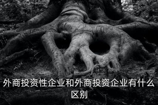 什么是投資性公司，外商投資性企業(yè)和外商投資企業(yè)有什么區(qū)別
