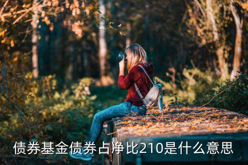 基金中的占凈比什么意思，債券基金債券占凈比210是什么意思