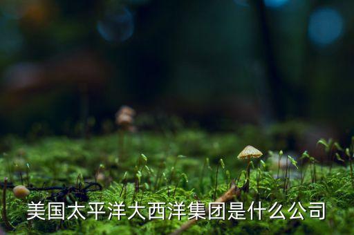 美國太平洋大西洋集團(tuán)是什么公司