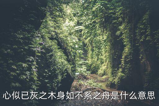 不經(jīng)之首中不的意思是什么，不的是什么意思