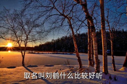 劉鶴是什么級別，劉鶴是何許人他的影響體現(xiàn)在哪