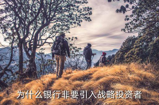 為什么引入戰(zhàn)略投資者，為什么公司上市都需要引進(jìn)戰(zhàn)略投資者