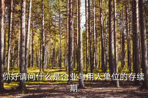 什么叫存續(xù)合同，法律上所謂的續(xù)存是什么意思
