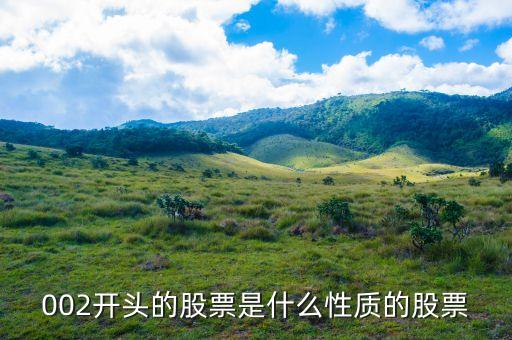 002打頭的股票代表什么，股票002開頭的是什么意思