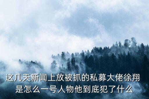 徐翔為什么會抓，澤熙投資徐翔為什么被抓徐翔被抓后私募怎么辦