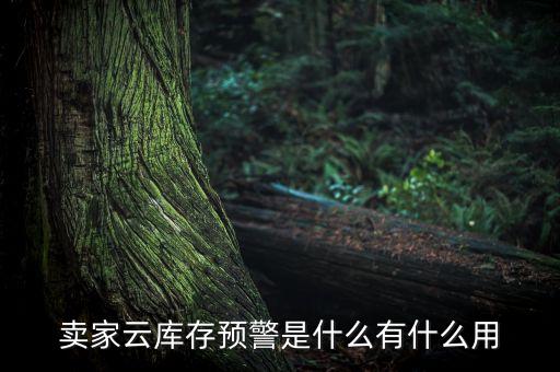 賣(mài)家云庫(kù)存預(yù)警是什么有什么用