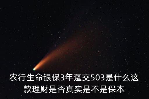 農(nóng)行生命銀保3年躉交503是什么這款理財(cái)是否真實(shí)是不是保本