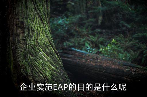 實施qe的目的是什么，退出量化寬松QE會對美國造成什么影響