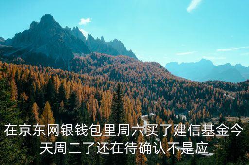 002378建信什么時(shí)候確認(rèn)份額，在京東網(wǎng)銀錢包里周六買了建信基金今天周二了還在待確認(rèn)不是應(yīng)