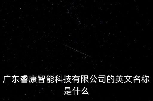 廣東睿康智能科技有限公司的英文名稱(chēng)是什么