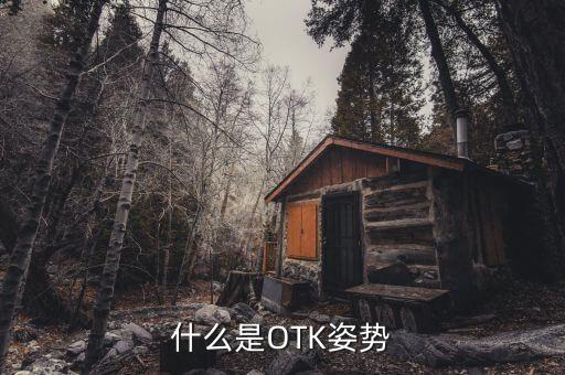什么是蝸牛式，蝸牛在古文言中叫什么