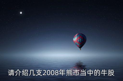 請介紹幾支2008年熊市當中的牛股
