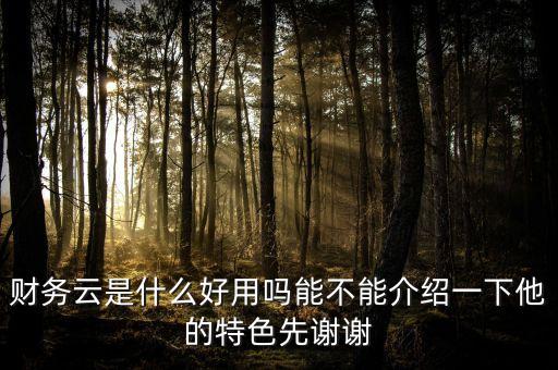 財務云是什么好用嗎能不能介紹一下他的特色先謝謝