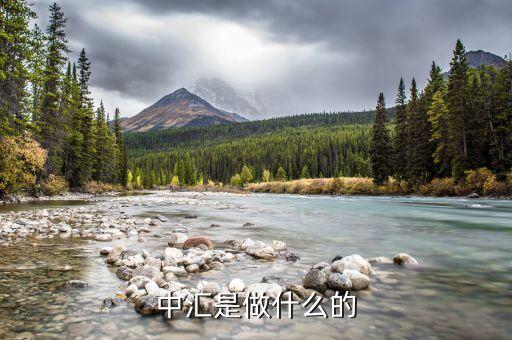 中匯事業(yè)發(fā)展部是什么，中匯集團(tuán) 好像全國好多叫中匯的不是說集團(tuán)公司名稱不能重復(fù)嗎