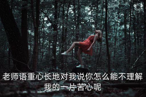 一片苦心什么意思，老師語(yǔ)重心長(zhǎng)地對(duì)我說(shuō)你怎么能不理解我的一片苦心呢