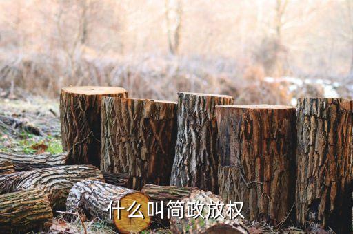 企業(yè)為什么放權(quán)，什么叫簡政放權(quán)