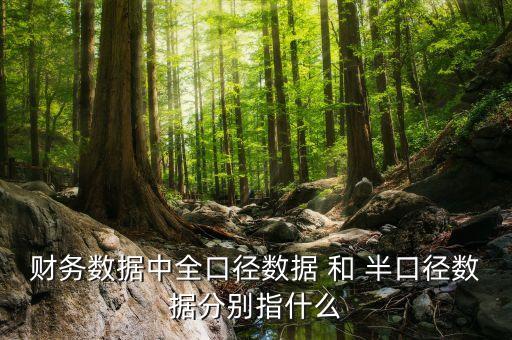 財務數據中全口徑數據 和 半口徑數據分別指什么
