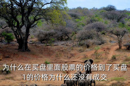為什么股票買一價(jià)不交易，為什么在買盤里面股票的價(jià)格到了買盤1的價(jià)格為什么還沒(méi)有成交