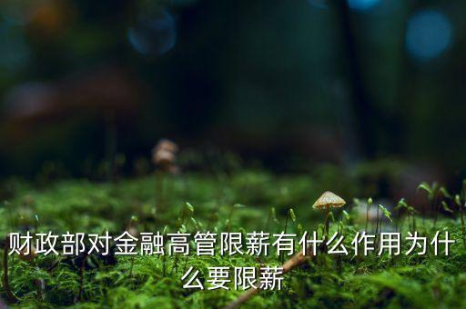 財(cái)政部對(duì)金融高管限薪有什么作用為什么要限薪