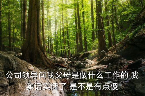 公司問父母是做什么的，公司領(lǐng)導(dǎo)問我父母是做什么工作的 我實話實話了 是不是有點傻