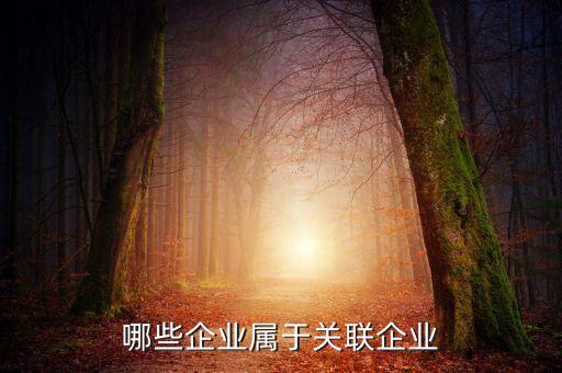 哪些企業(yè)屬于關聯(lián)企業(yè)
