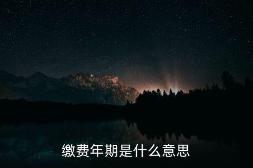 繳費(fèi)年期是什么意思