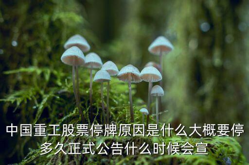 中國重工股票停牌原因是什么大概要停多久正式公告什么時(shí)候會(huì)宣