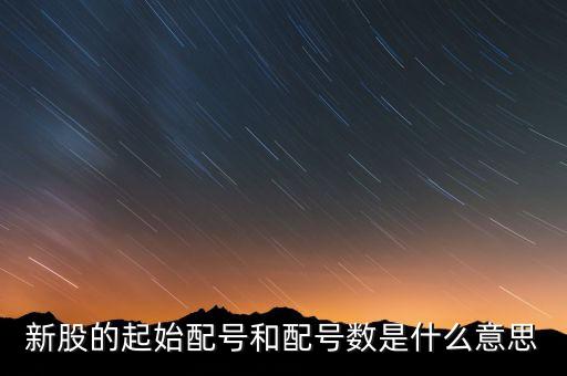 新股申購起始配號是什么意思，新股起始配號是什么意思配號21是什么意思