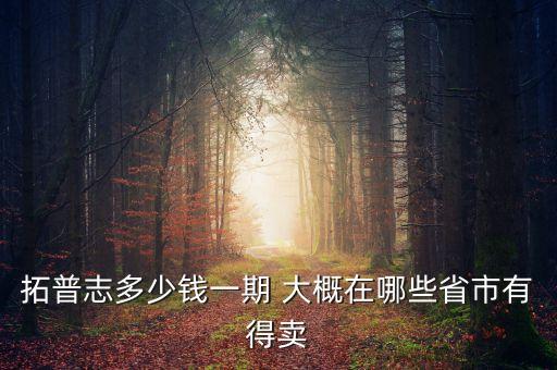 拓普賣什么，PRADA 主要賣什么
