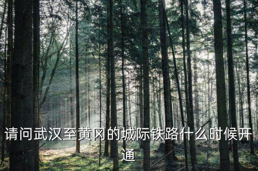 請(qǐng)問武漢至黃岡的城際鐵路什么時(shí)候開通