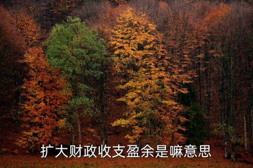 財(cái)政盈余是什么意思，擴(kuò)大財(cái)政收支盈余是嘛意思