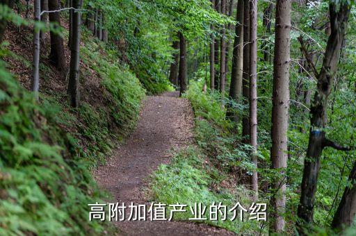 什么是高附加值產業(yè)，高附加值產業(yè)的介紹