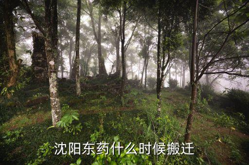 有沈陽東北制藥搬遷是什么時(shí)候嗎，沈陽東藥什么時(shí)候搬遷