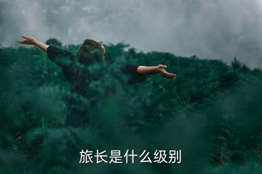 旅長參謀長什么級別，軍隊(duì)中旅長是什么級別