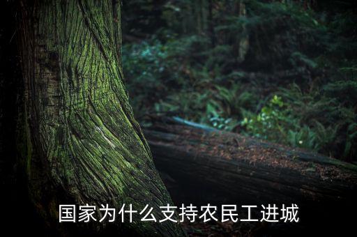 為什么讓農(nóng)民進(jìn)城買房，國(guó)家為什么支持農(nóng)民工進(jìn)城