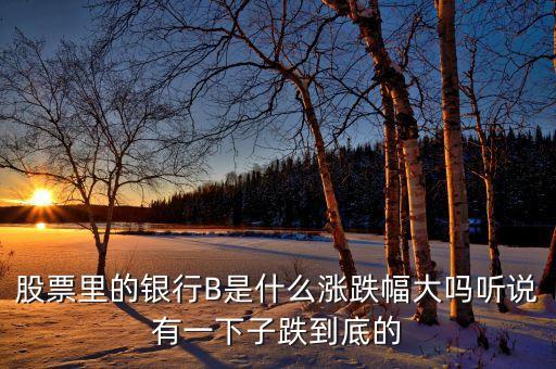 銀行b端是什么，bo是什么銀行