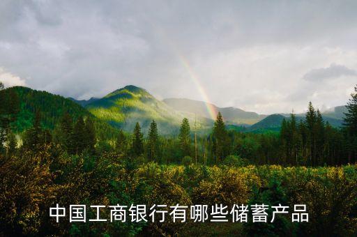 中國(guó)工商銀行有哪些儲(chǔ)蓄產(chǎn)品