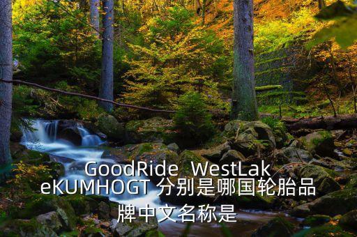 GoodRide  WestLakeKUMHOGT 分別是哪國輪胎品牌中文名稱是
