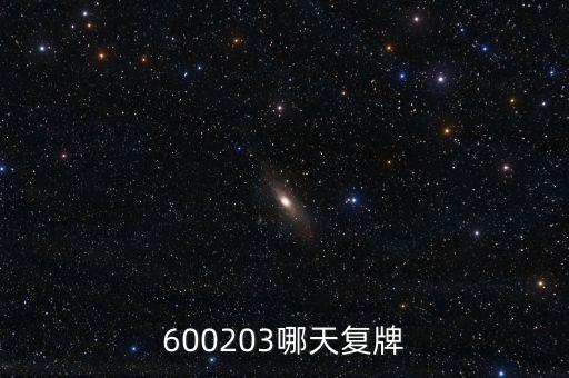 長百集團什么時候復牌，000560各位大神知道啥時候復牌
