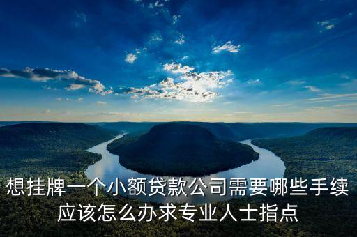 想掛牌一個(gè)小額貸款公司需要哪些手續(xù)應(yīng)該怎么辦求專業(yè)人士指點(diǎn)
