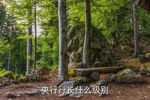 央行行長有什么權(quán)力，央行行長什么級別