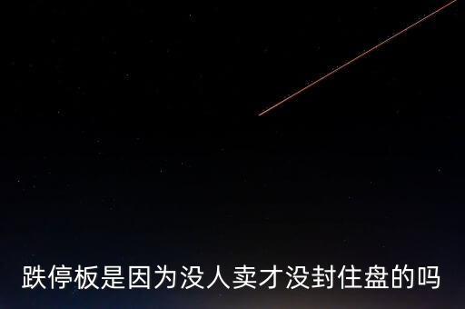 跌停板是因為沒人賣才沒封住盤的嗎