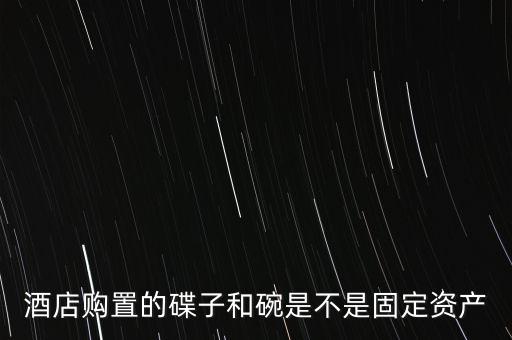 酒店廚房不動(dòng)資產(chǎn)有什么東西，酒店購(gòu)置的碟子和碗是不是固定資產(chǎn)