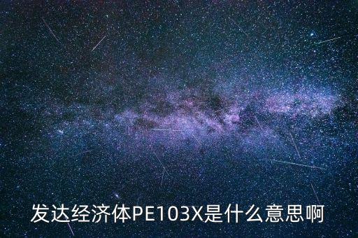 發(fā)達經(jīng)濟體PE103X是什么意思啊