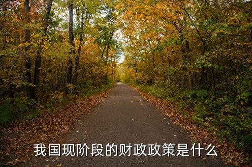 我國現(xiàn)階段的財政政策是什么