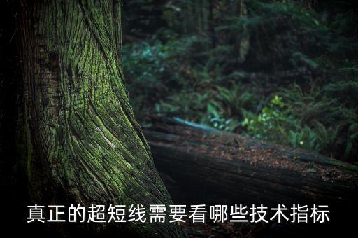 真正的超短線需要看哪些技術(shù)指標(biāo)