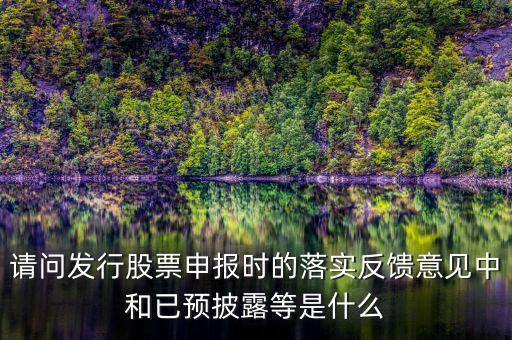 證監(jiān)會(huì)已反饋是什么意思，請(qǐng)問發(fā)行股票申報(bào)時(shí)的落實(shí)反饋意見中和已預(yù)披露等是什么