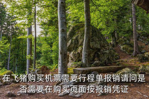 在飛豬購(gòu)買(mǎi)機(jī)票需要行程單報(bào)銷(xiāo)請(qǐng)問(wèn)是否需要在購(gòu)買(mǎi)頁(yè)面按報(bào)銷(xiāo)憑證
