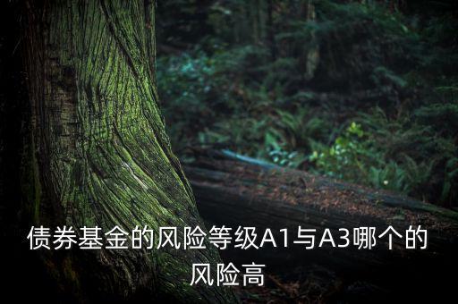 債券基金的風(fēng)險等級A1與A3哪個的風(fēng)險高
